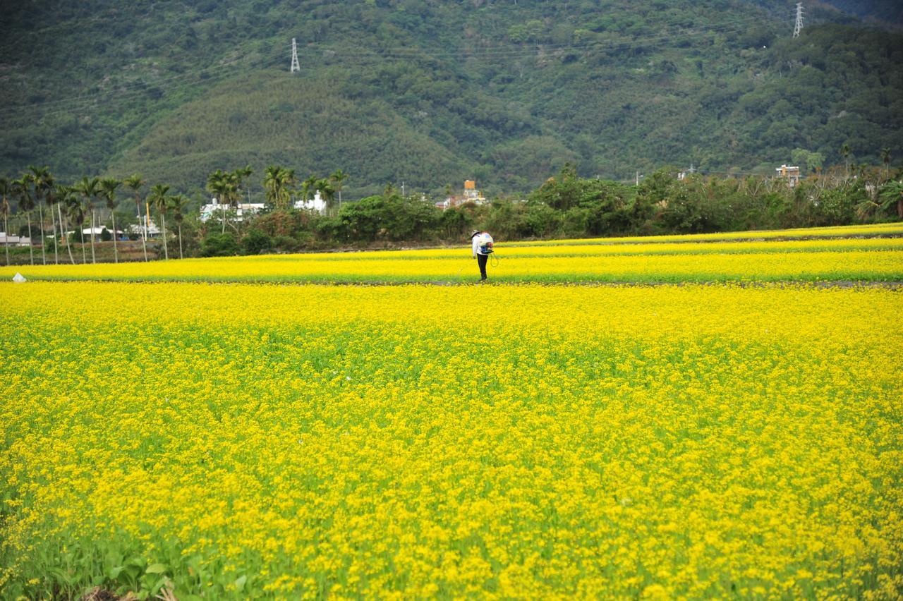 Guanshan Fukuda Homestay Buitenkant foto
